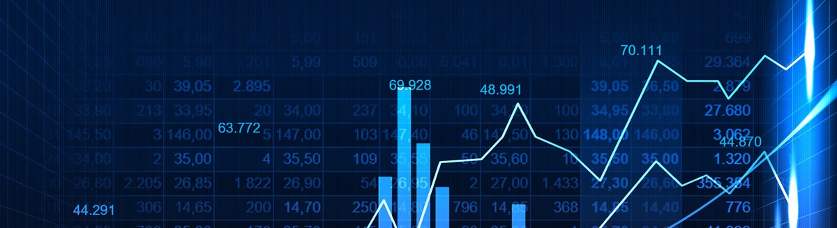 Introducción al Mercado de Capitales